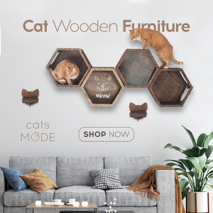 Cats Mode Pet Furniture