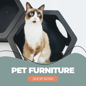 Cats Mode Pet Furniture